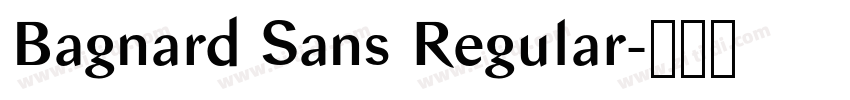 Bagnard Sans Regular字体转换